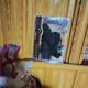 马牛鼻