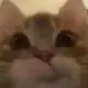 忘却