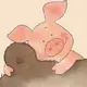 迅雷狗东西