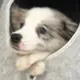 小赵同学