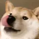 jiaowoleifeng