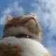 雪漫北境