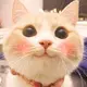 今日闲