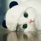 两厢情愿的头像