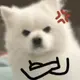 怒汉