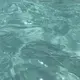 鱼雷