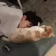 邱志超