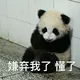 yy