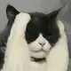 谢谢楼主分享