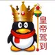 ccc112233_avatar