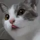 675218534