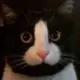 莫挨老子