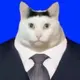11231