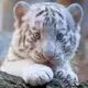 zhaoshanhe88
