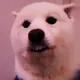 0.0