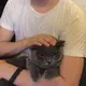 稻草人