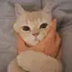 kiki