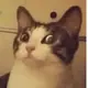 111