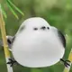 章健瑾