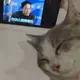 a'ゞ 囍楽.的头像