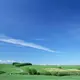 用户列表
