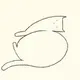 www