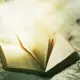 三少