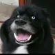 1377737997