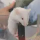 对