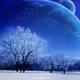 liang597461267