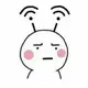 qq8554650