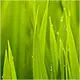 a4539792_avatar