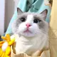 用户列表