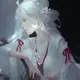 新人小白
