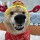 kacin 的头像
