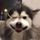 893238834