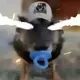 青歌的头像