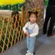 用户列表