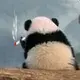 leon 的头像