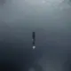 XD