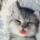 琅琊丶瑾瑜