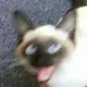 6666