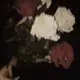 山芋
