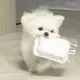 魔法修狗