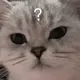 山河不改
