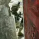 苏斌