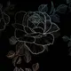 like