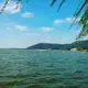 河陽山農夫的头像