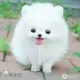 用户列表
