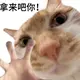 把想不到吧